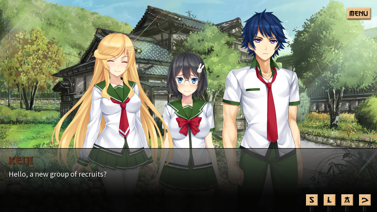 Скриншот: Sword of Asumi