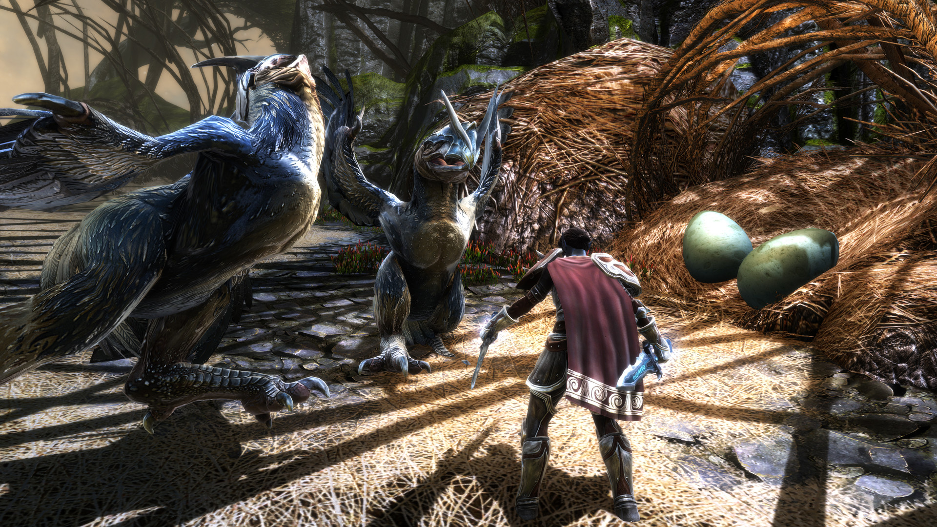 Скриншот: Kingdoms of Amalur: Re-Reckoning