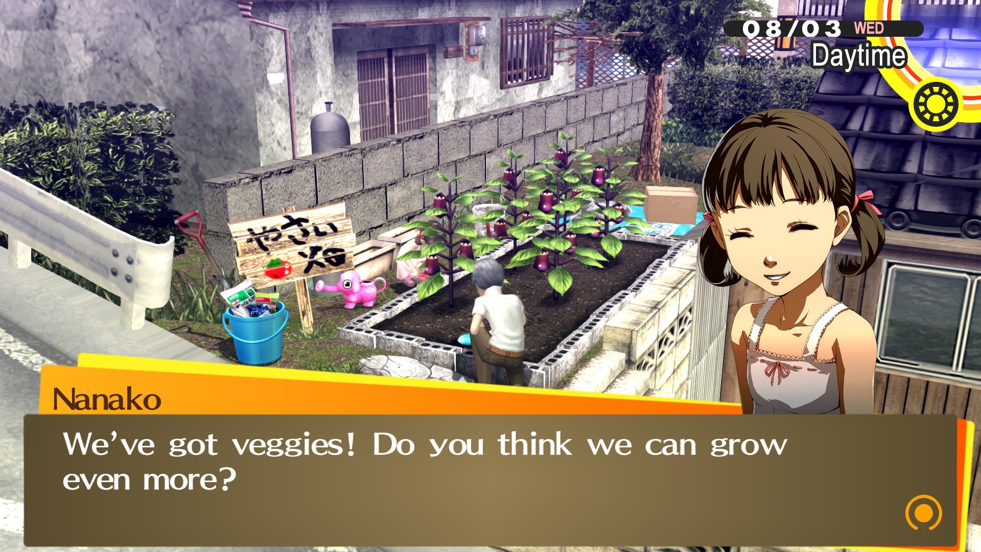 Скриншот: Persona 4 Golden