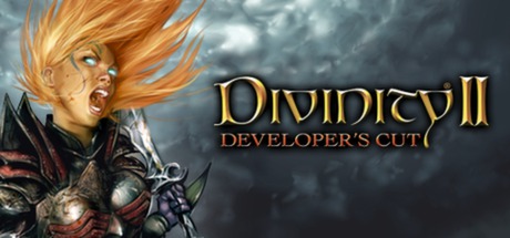 Обложка игры: Divinity II: Developer's Cut