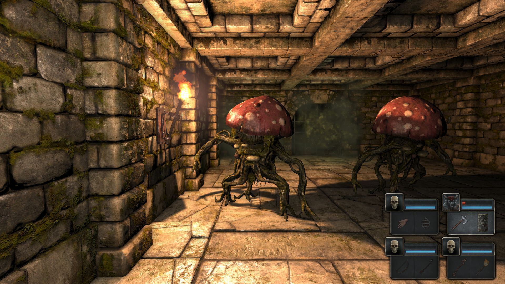 Скриншот: Legend of Grimrock