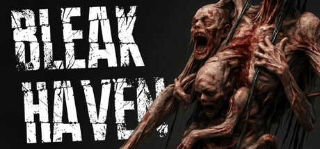 Обложка игры: Bleak Haven