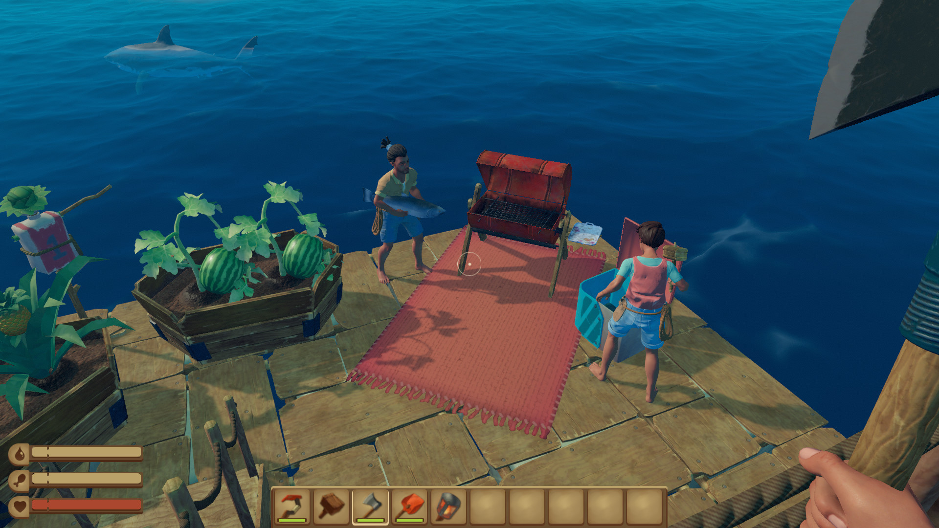 Скриншот: Raft
