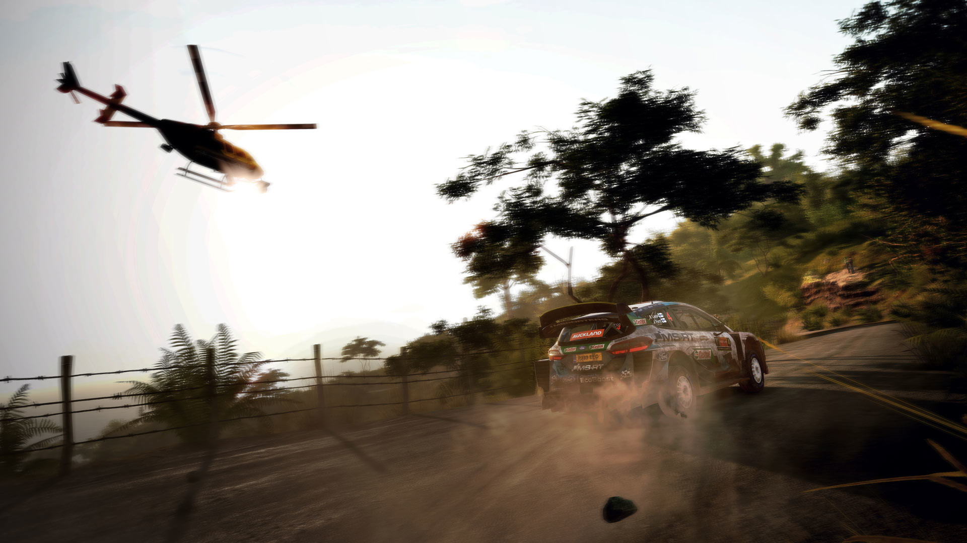 Скриншот: WRC 9 FIA World Rally Championship