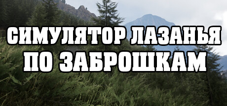 Обложка: СИМУЛЯТОР ЛАЗАНЬЯ ПО ЗАБРОШКАМ