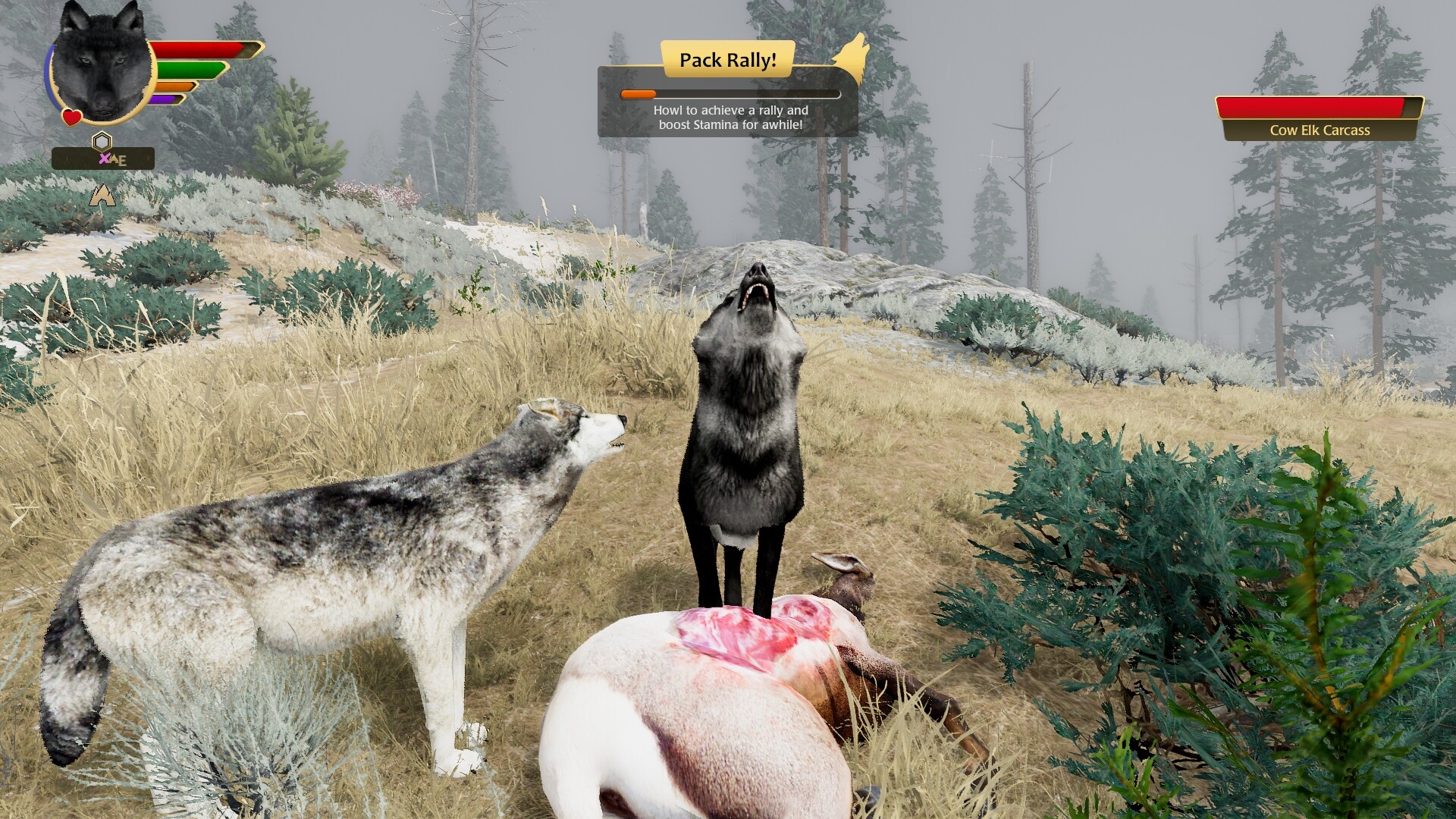 Скриншот: WolfQuest: Anniversary Edition