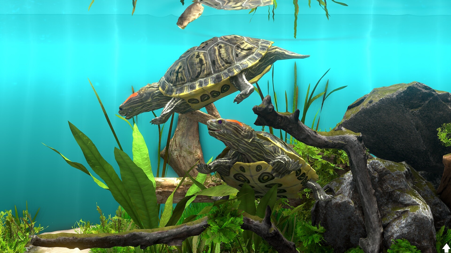 Скриншот: Behind Glass: Aquarium Simulator