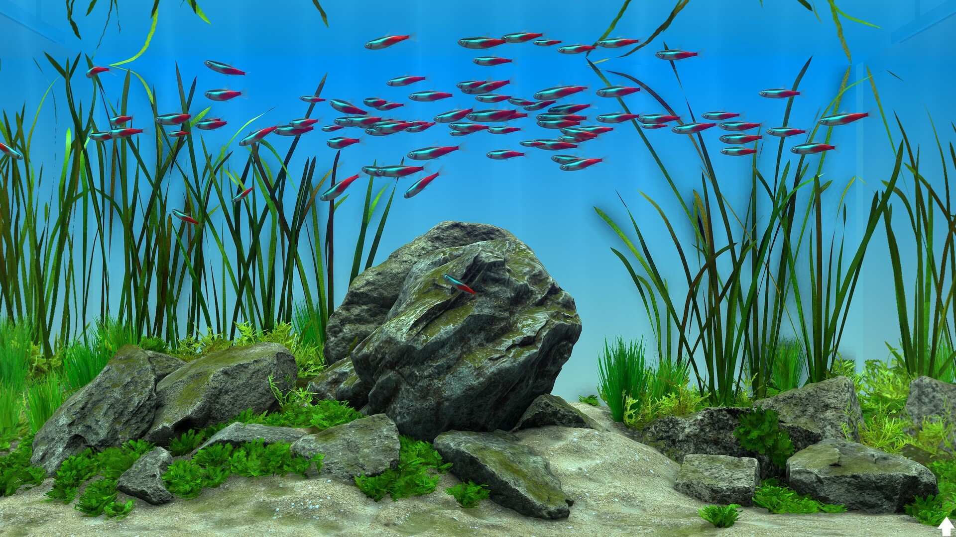 Скриншот: Behind Glass: Aquarium Simulator
