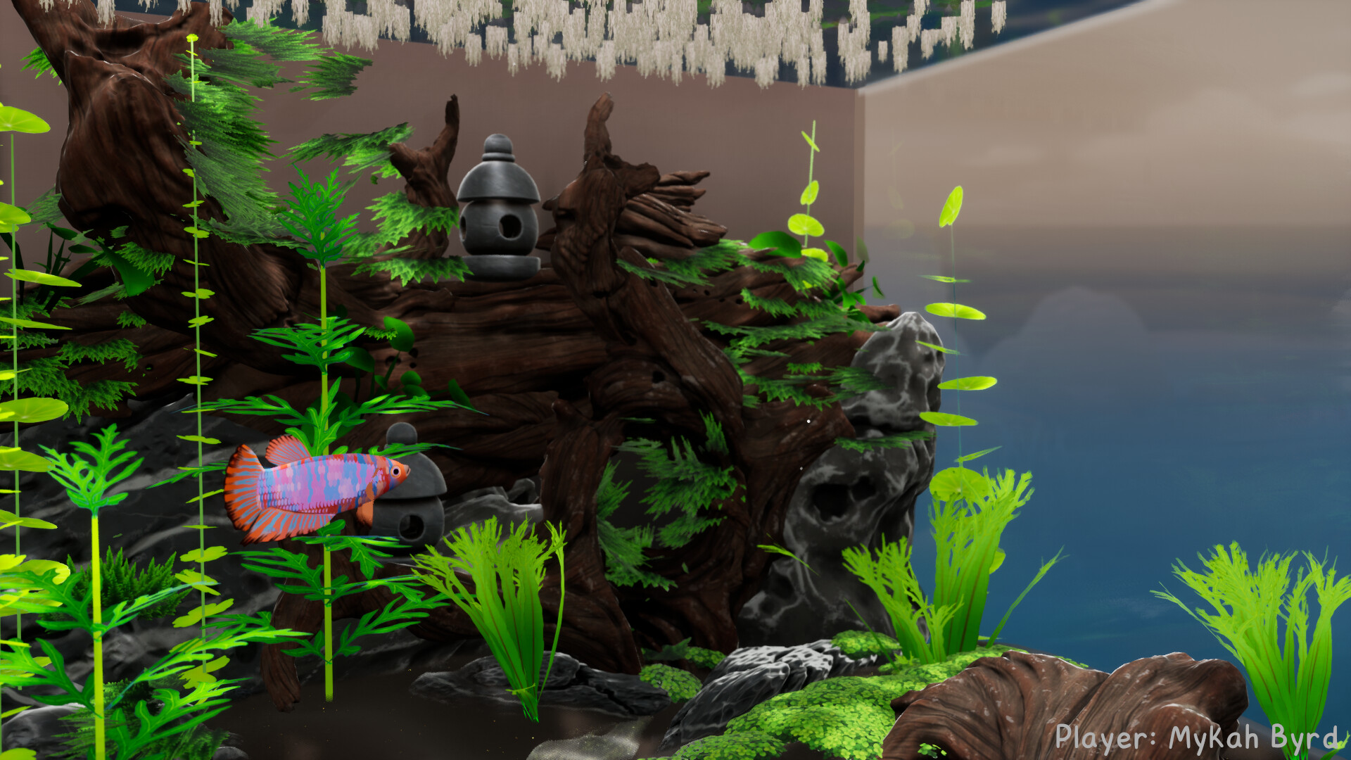 Скриншот: Fish Game