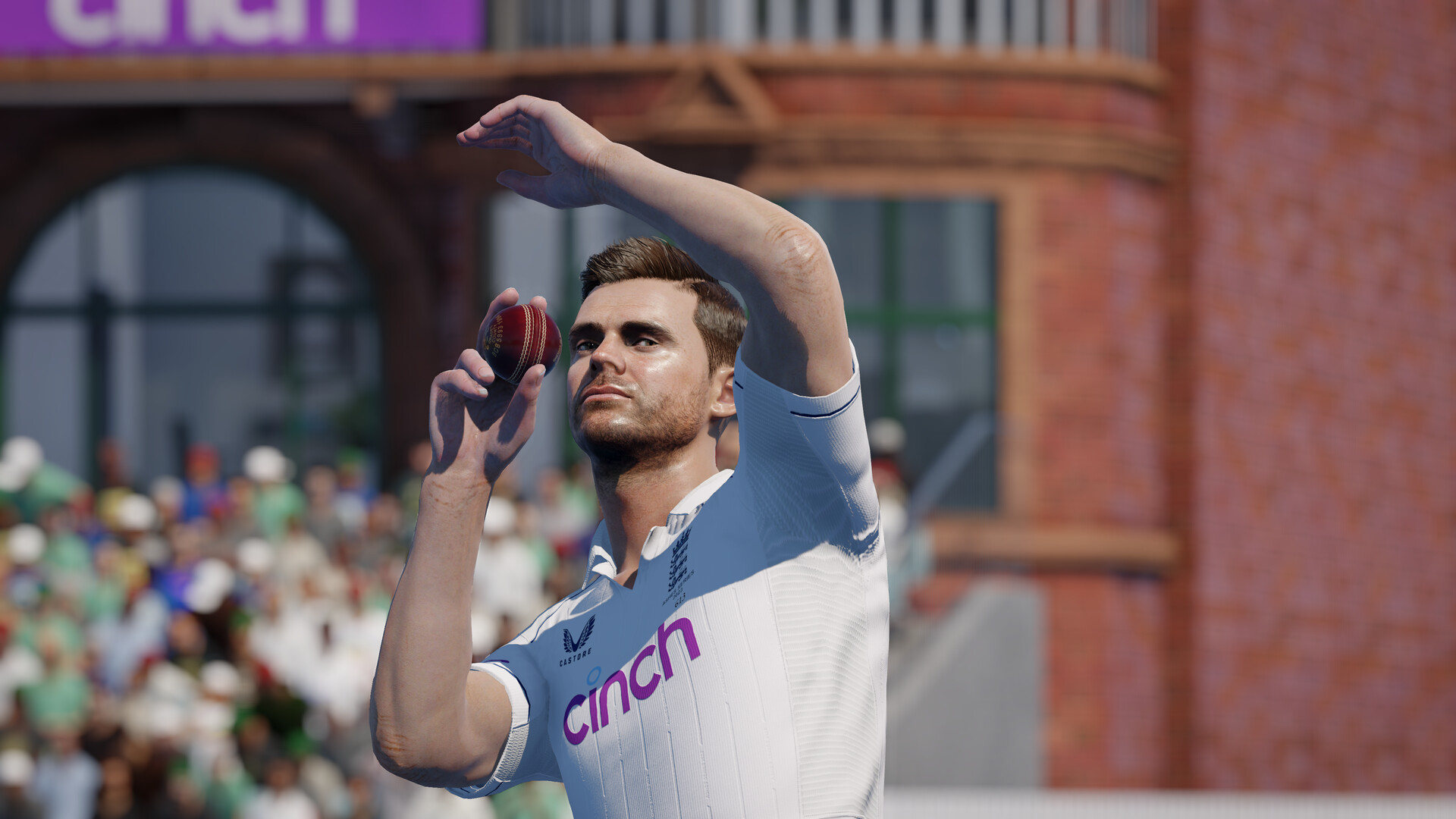 Скриншот: Cricket 24