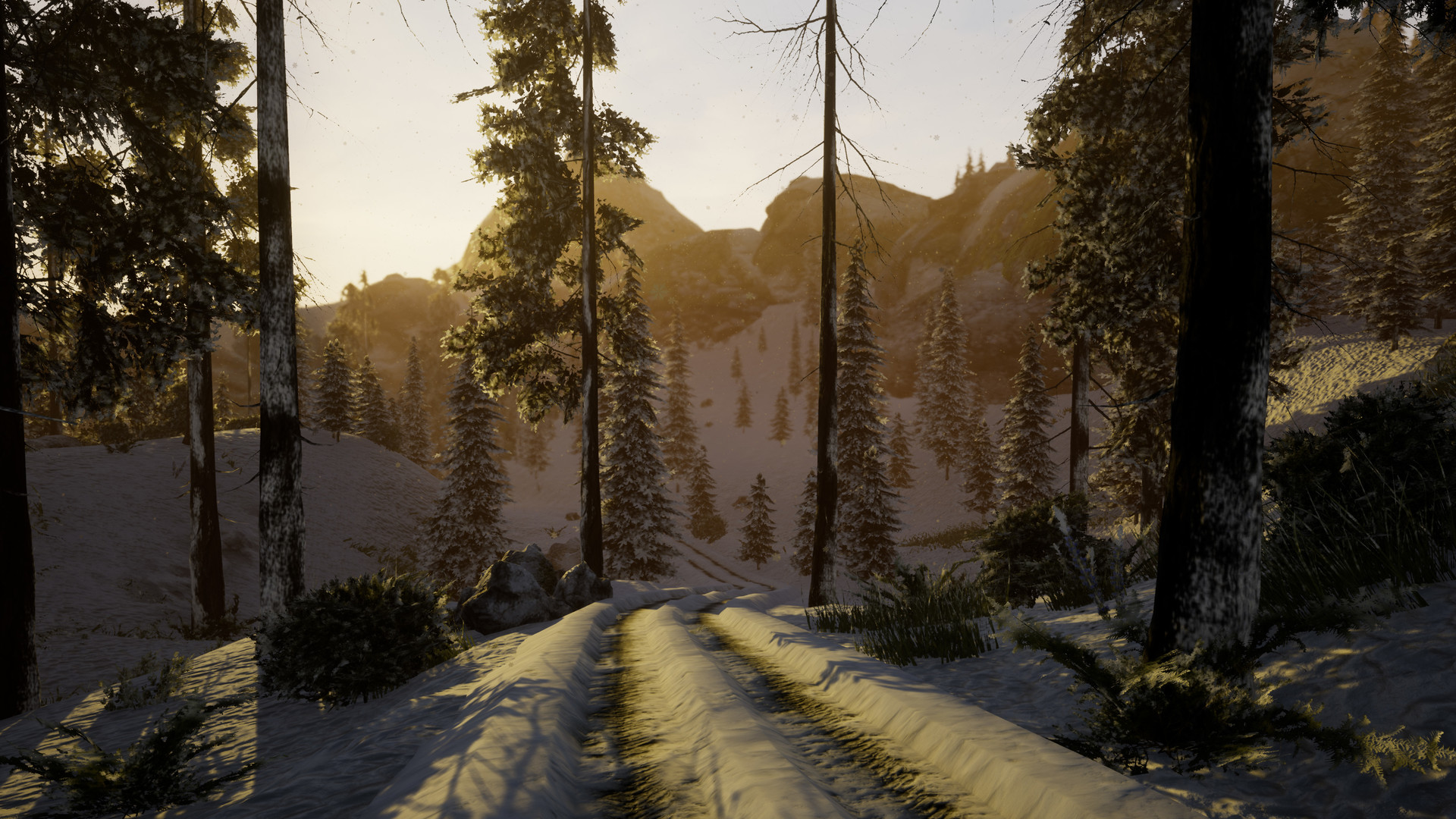 Скриншот: Before Nightfall