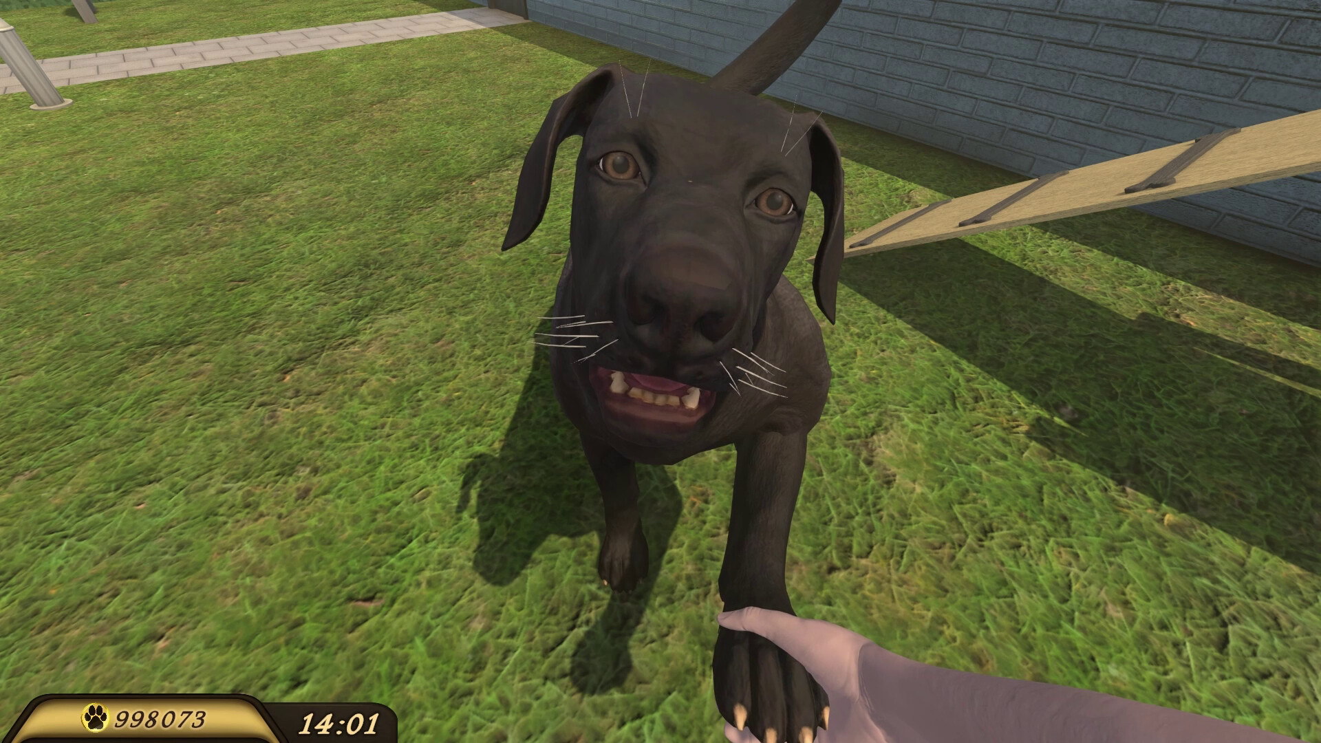 Скриншот: Pets Hotel