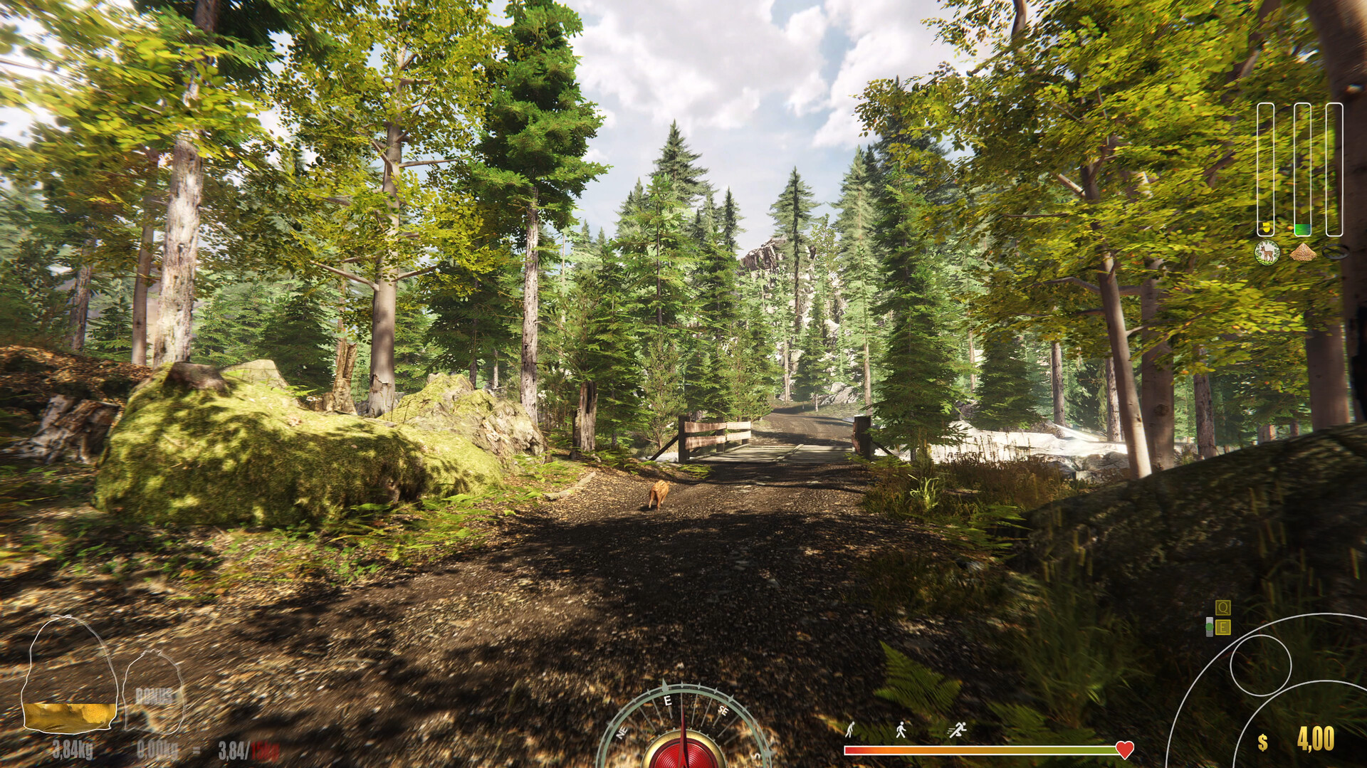 Скриншот: Forest Ranger Simulator