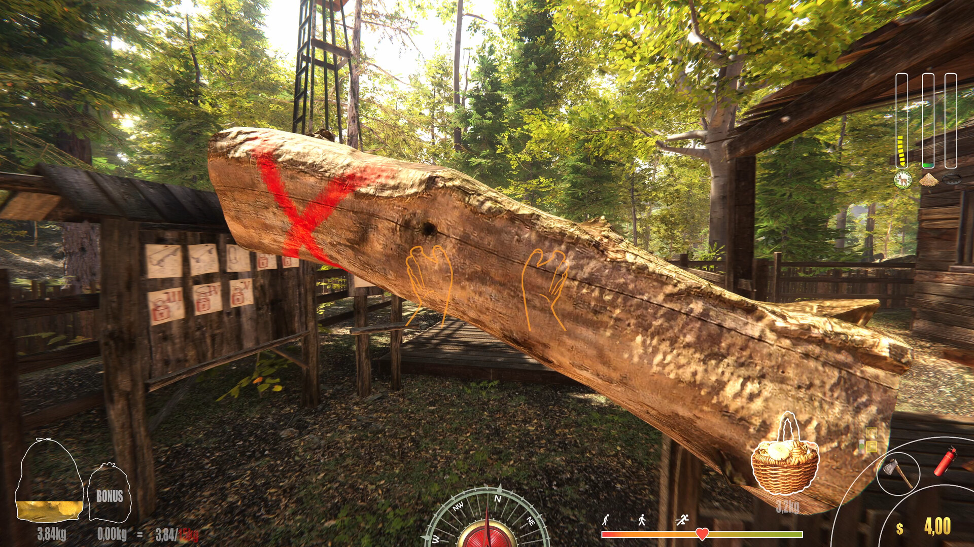 Скриншот: Forest Ranger Simulator