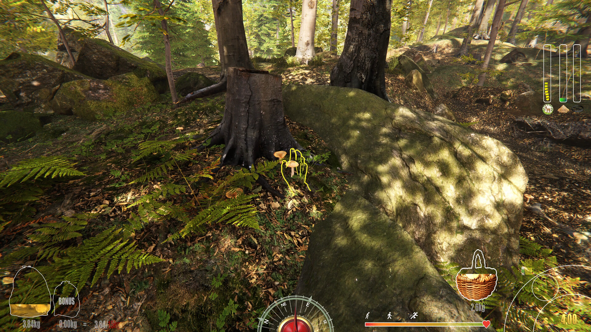 Скриншот: Forest Ranger Simulator