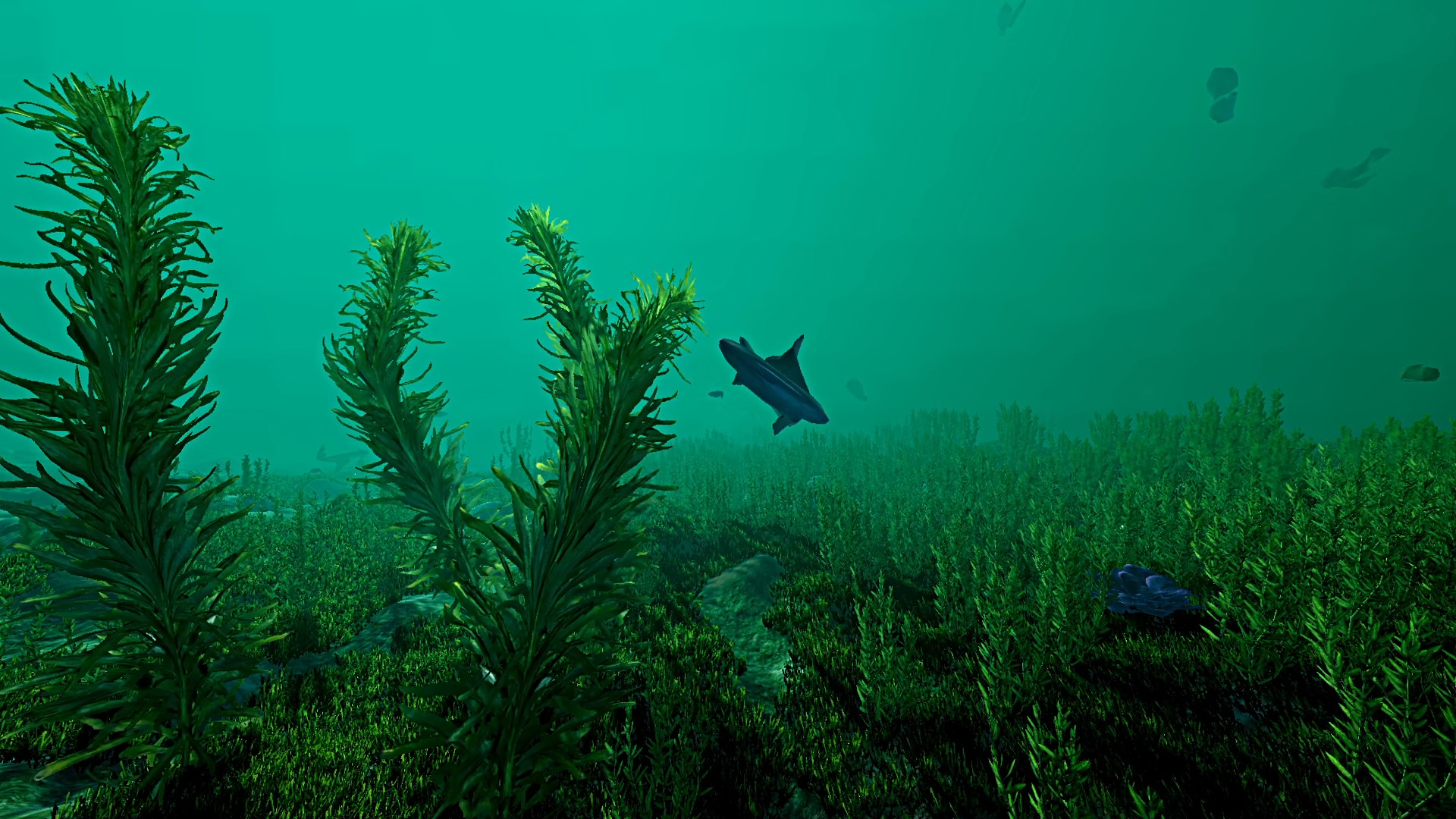 Скриншот: Ecosystem
