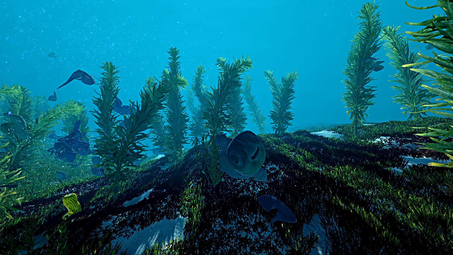 Скриншот: Ecosystem