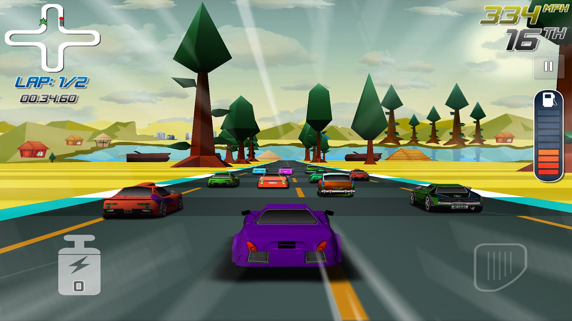 Скриншот: Race Race Racer