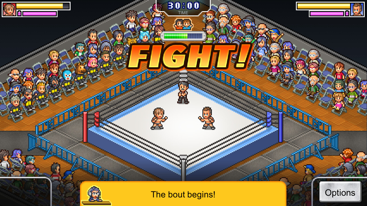 Скриншот: Pro Wrestler Story
