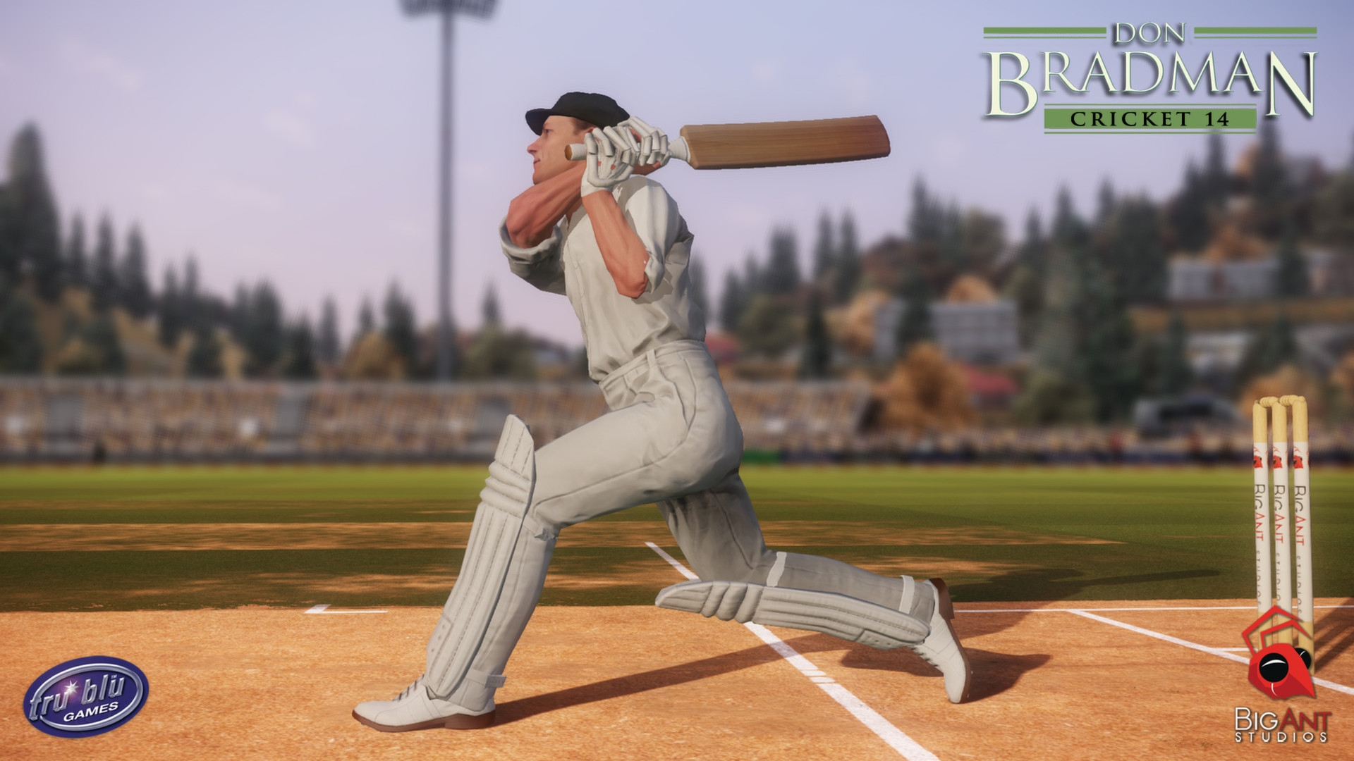 Скриншот: Don Bradman Cricket 14
