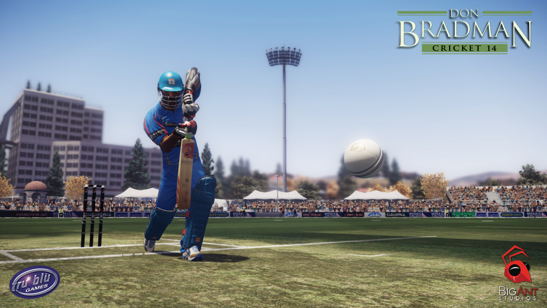 Скриншот: Don Bradman Cricket 14