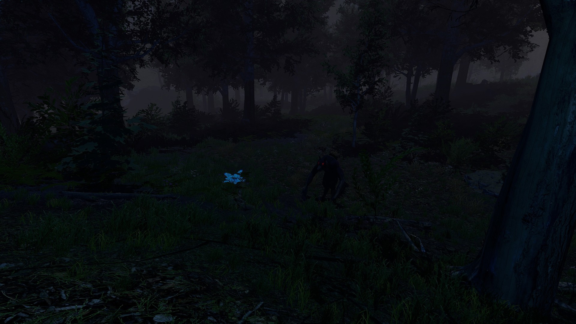 Скриншот: Trials of Wilderness