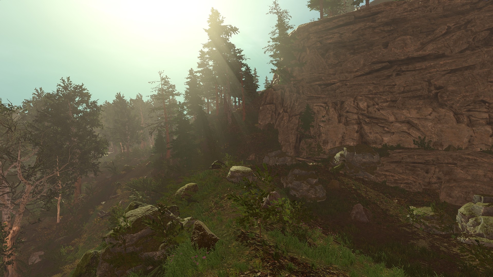 Скриншот: Trials of Wilderness