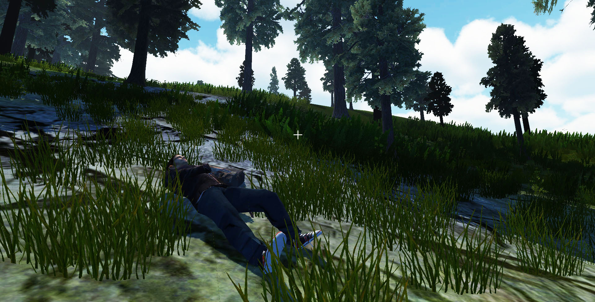Скриншот: Recovery Search & Rescue Simulation