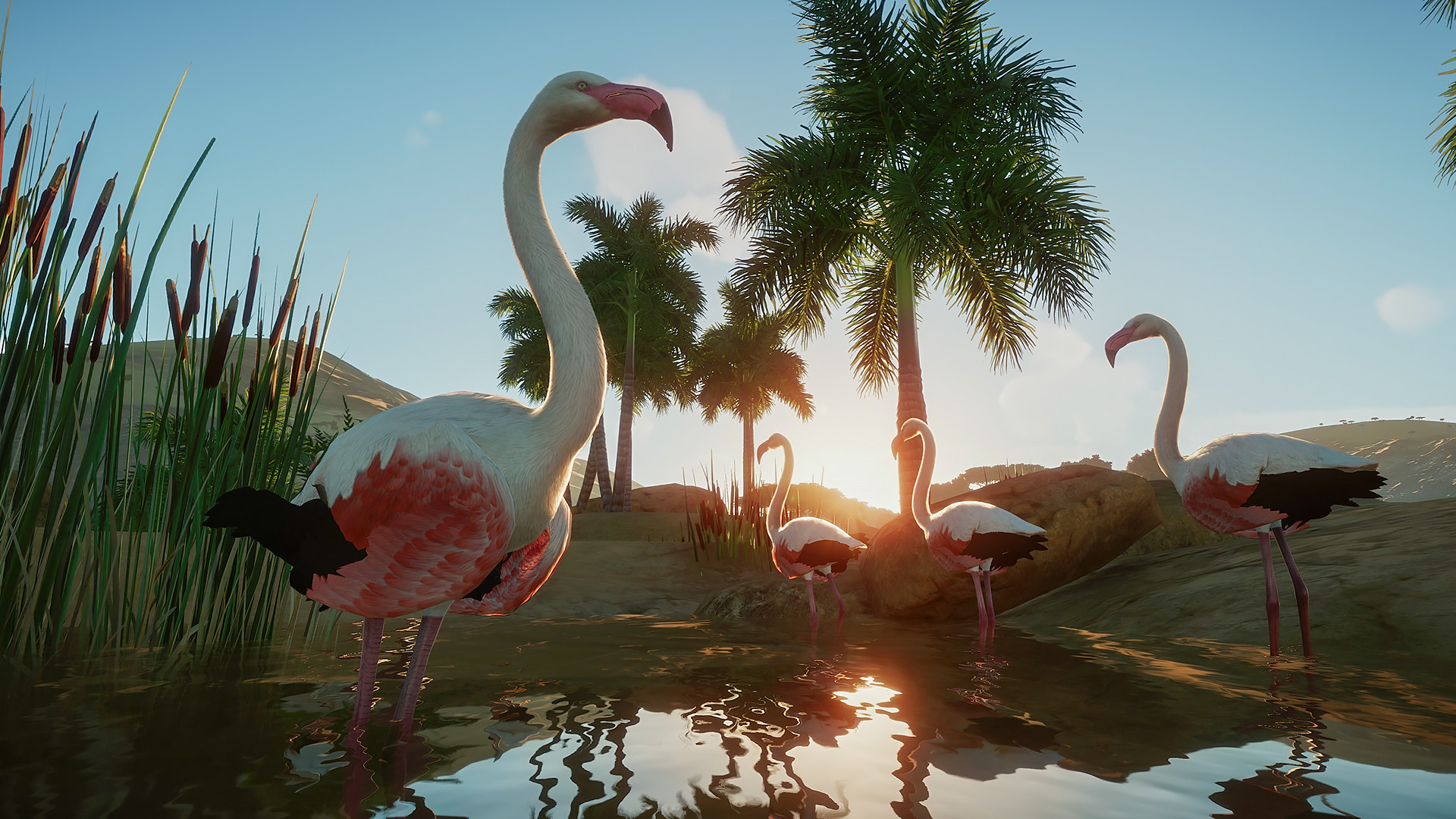 Скриншот: Planet Zoo