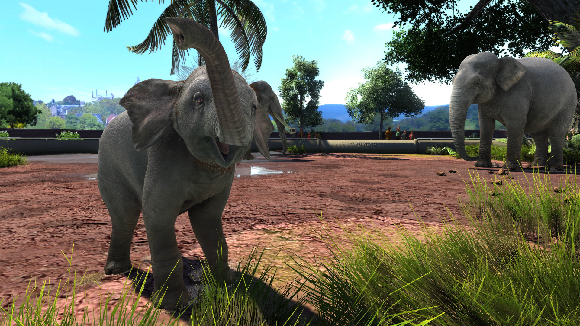 Скриншот: Zoo Tycoon: Ultimate Animal Collection