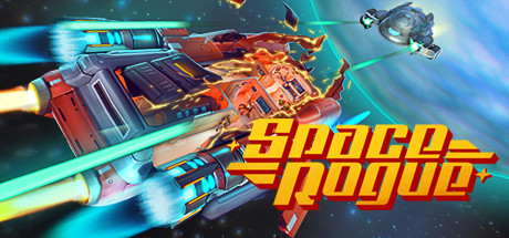 Обложка: Space Rogue