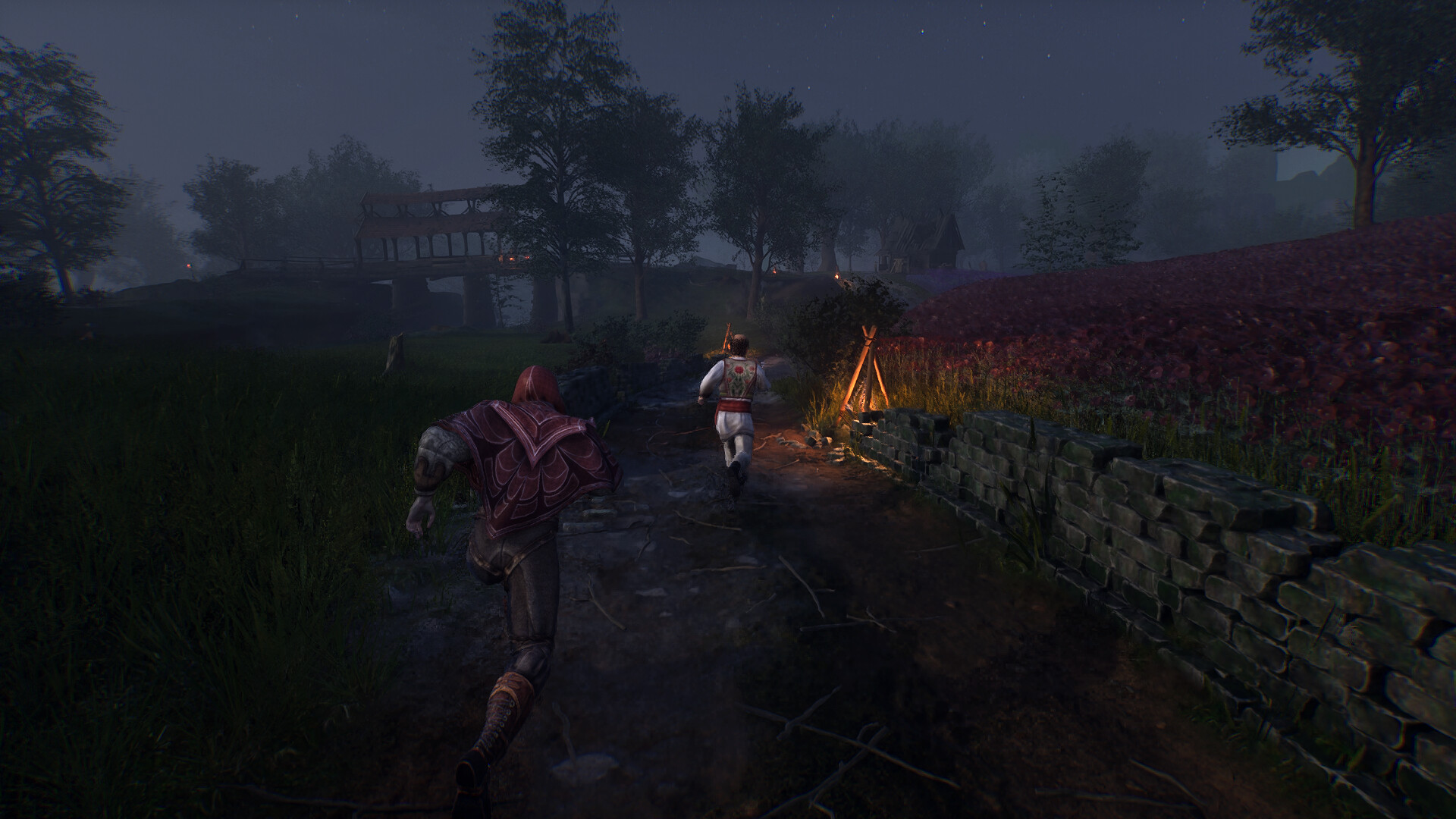 Скриншот: Vampires: Bloodlord Rising