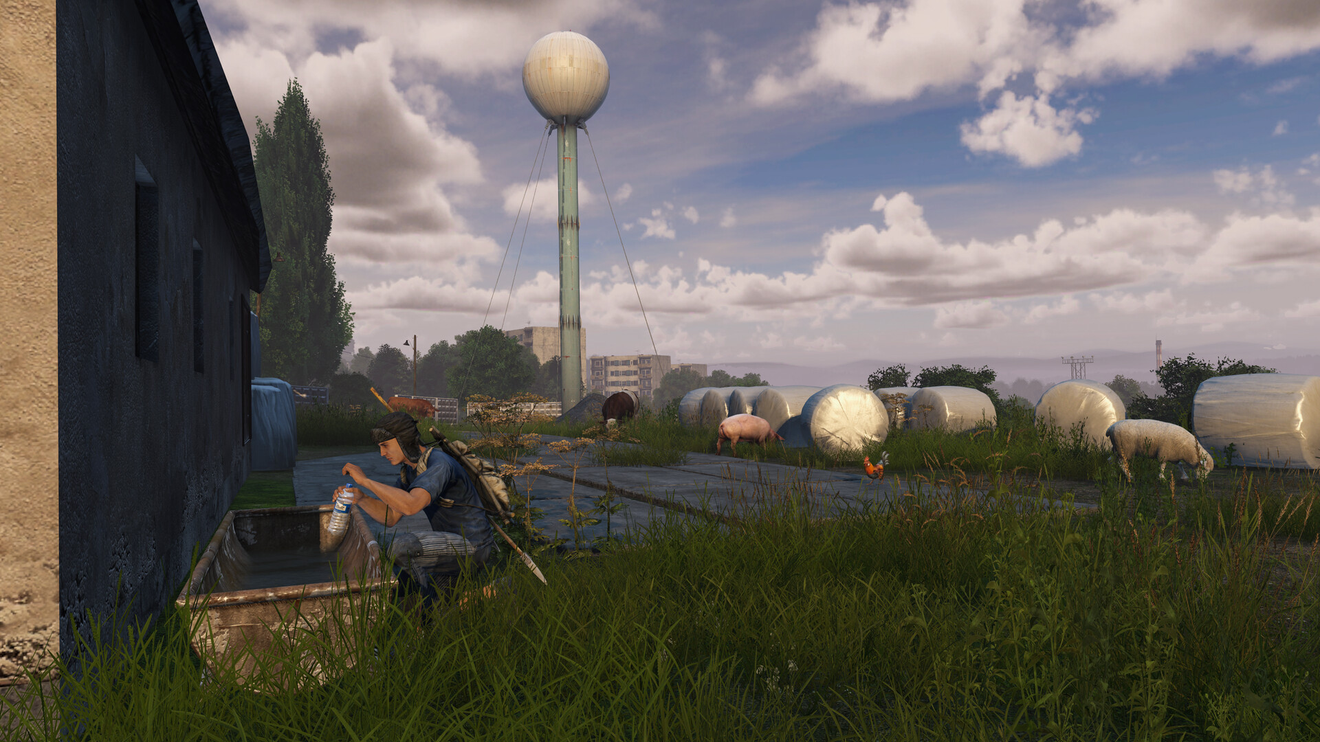 Скриншот: DayZ
