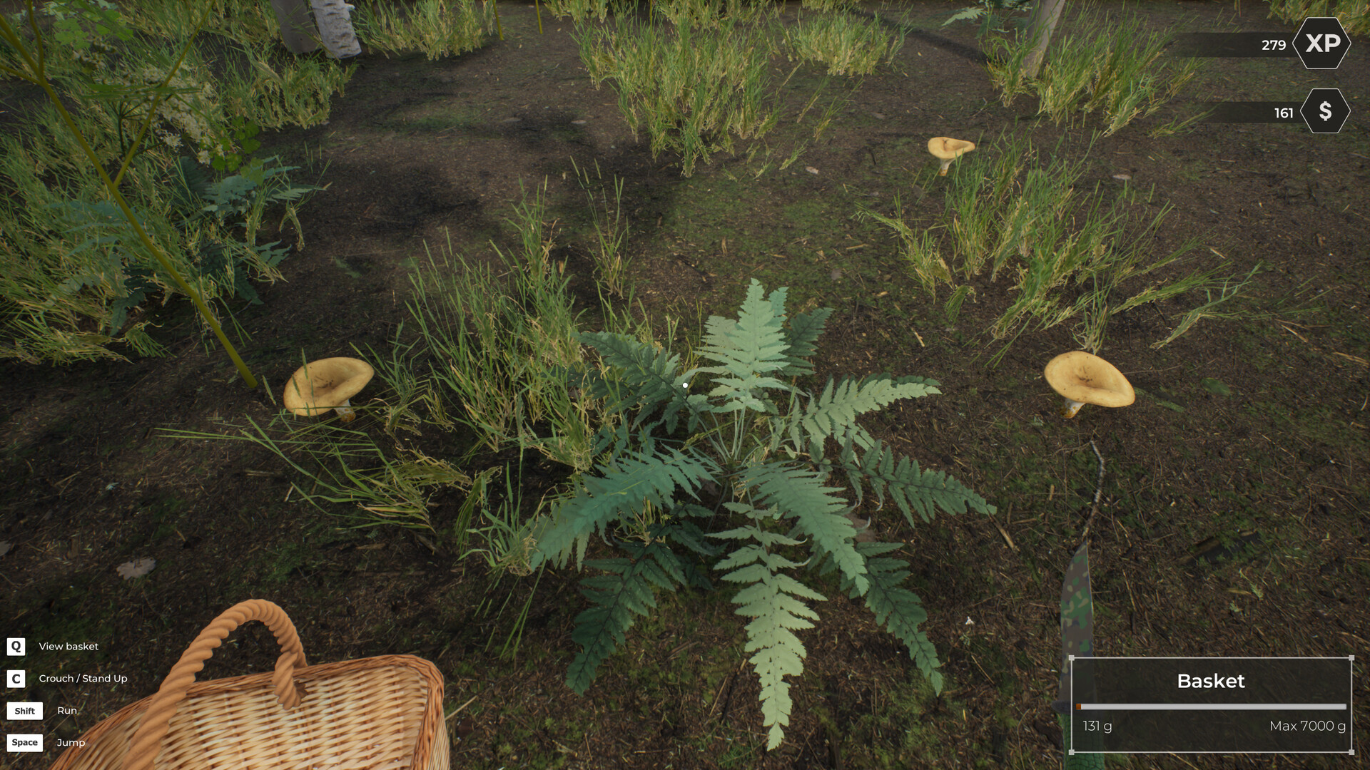 Скриншот: Mushroom Hunter World