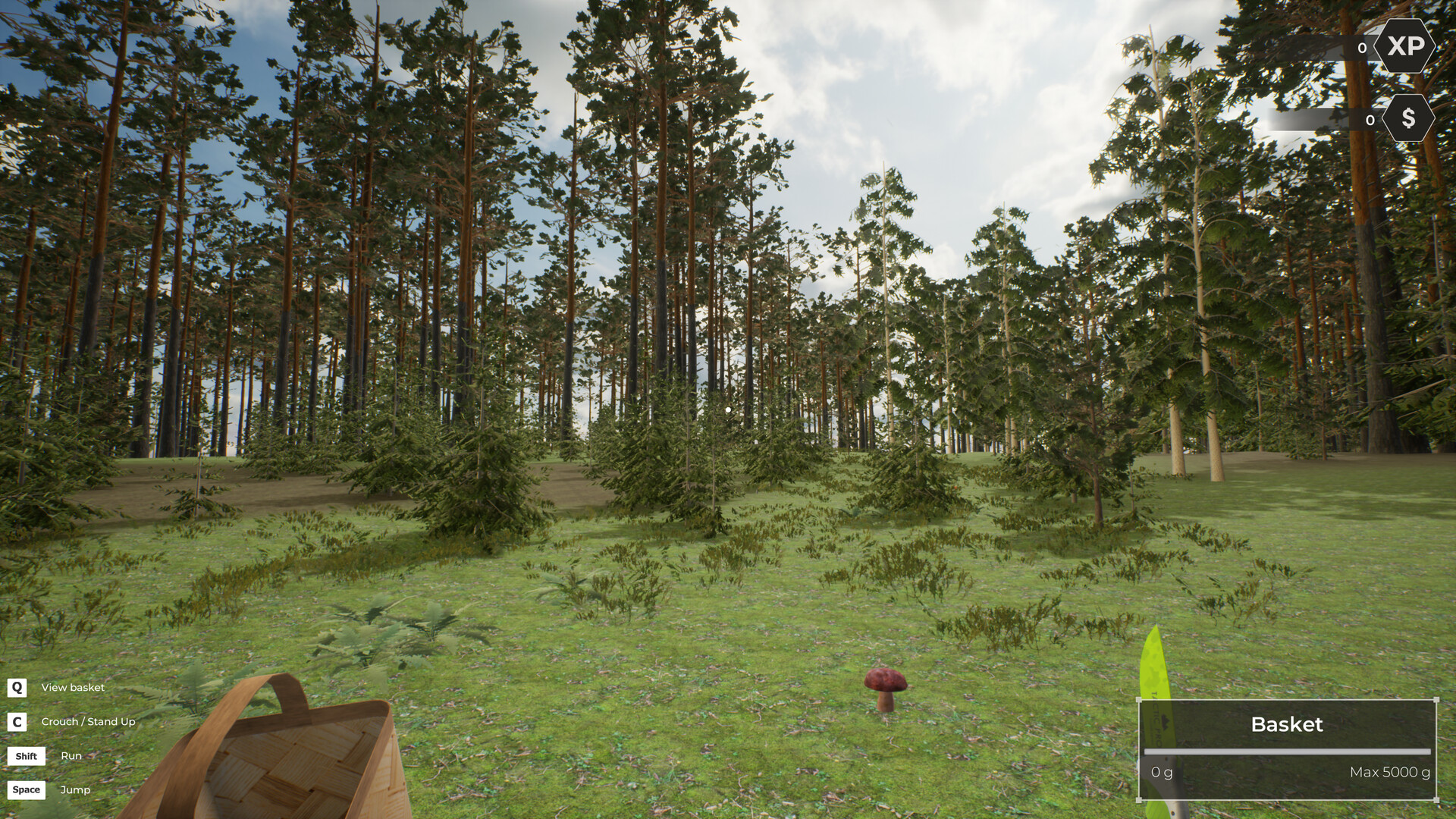 Скриншот: Mushroom Hunter World