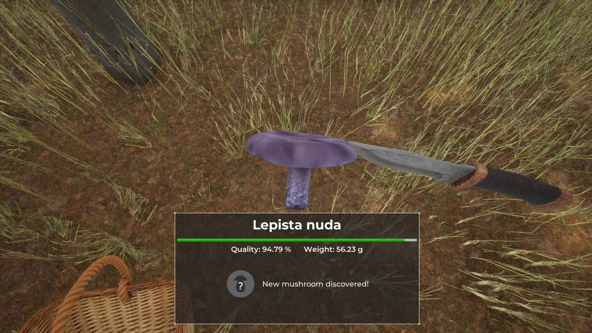 Скриншот: Mushroom Hunter World
