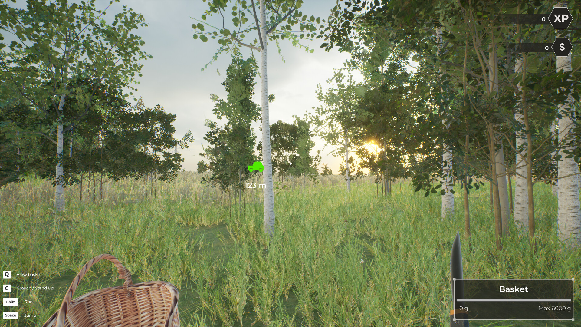 Скриншот: Mushroom Hunter World