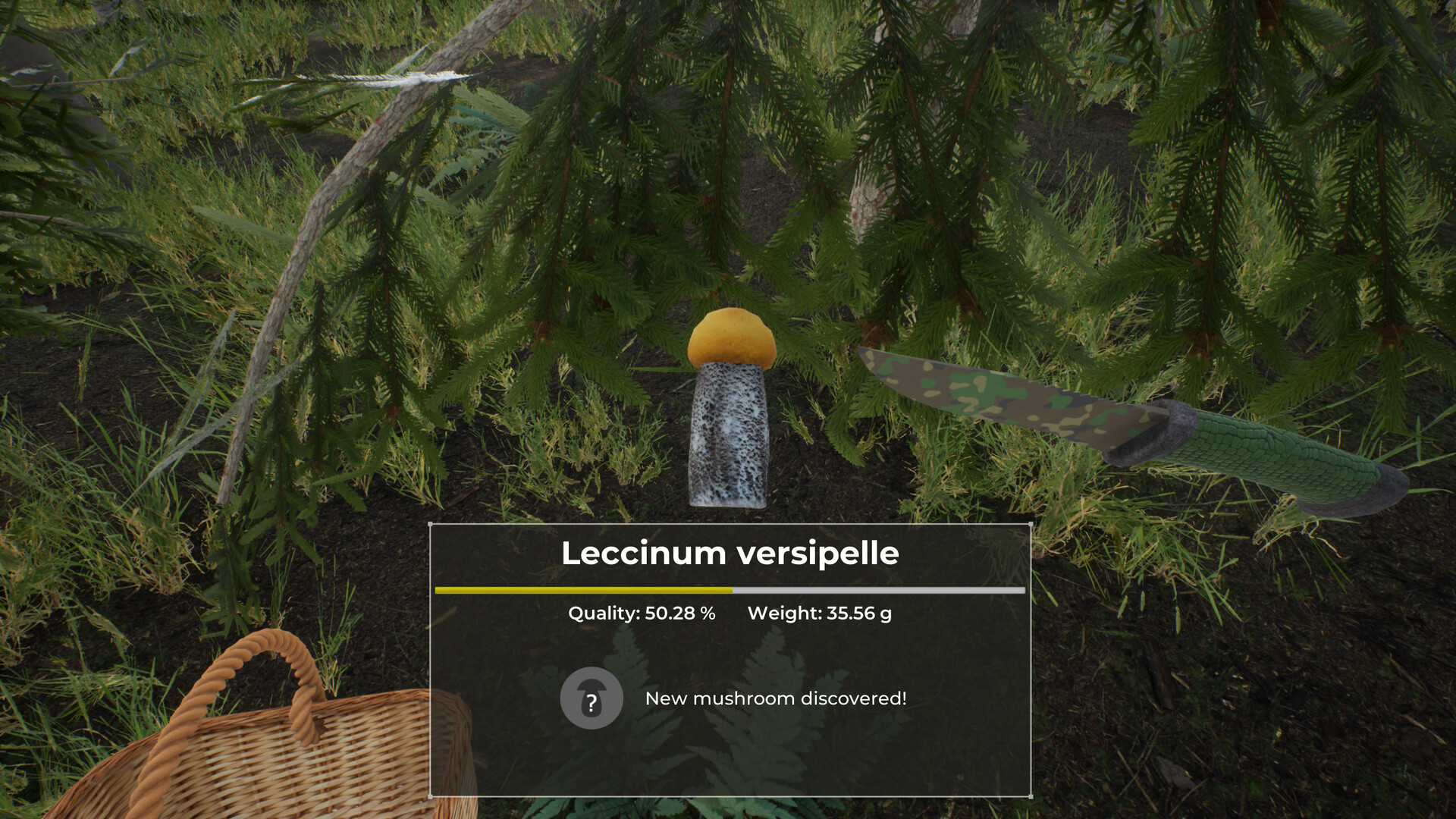 Скриншот: Mushroom Hunter World