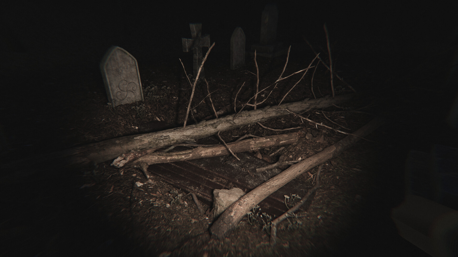Скриншот: Dead Silence - Echoes of the Damned