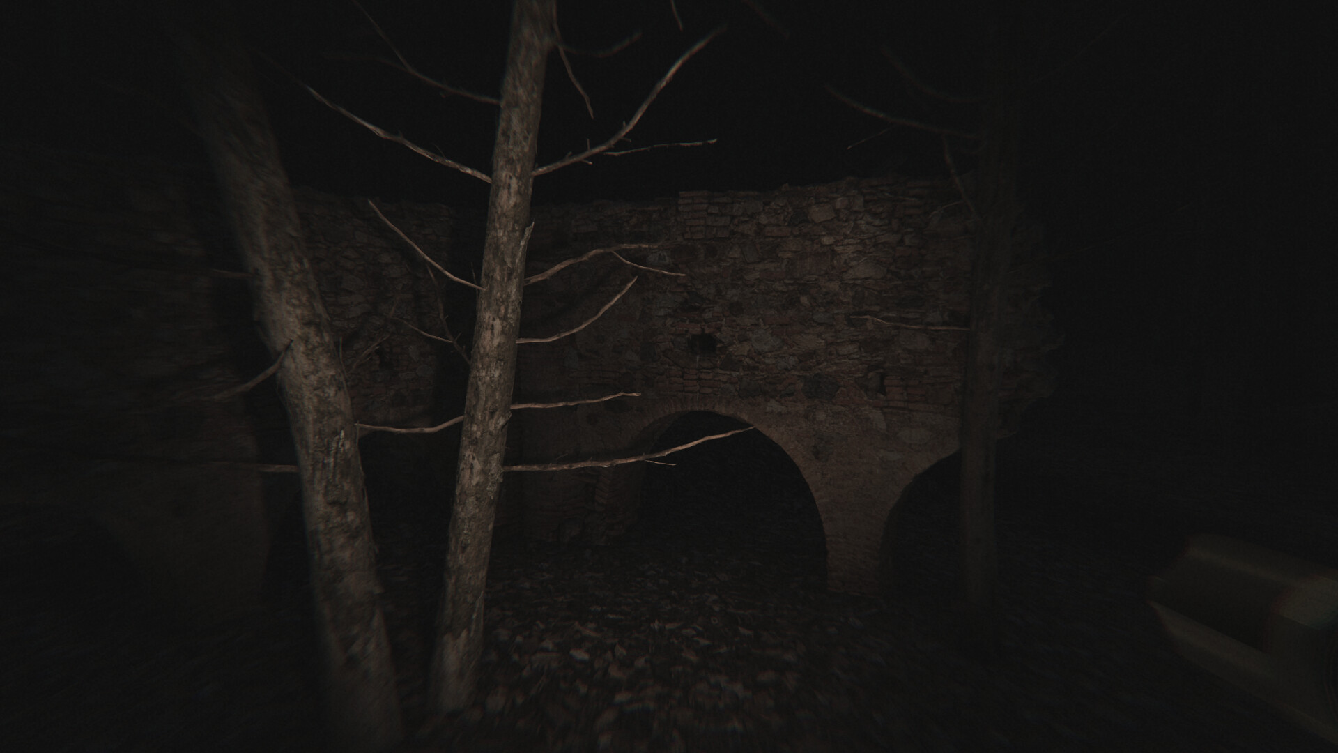 Скриншот: Dead Silence - Echoes of the Damned