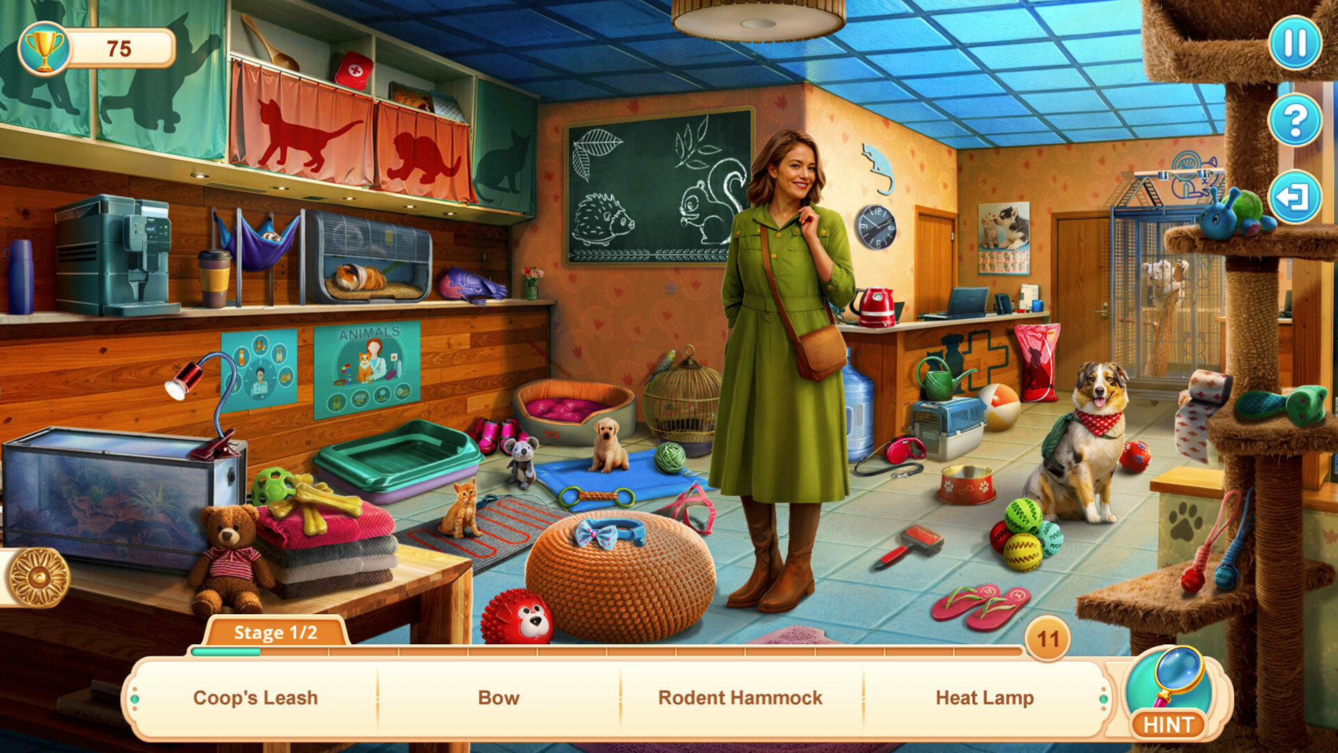 Скриншот: Home for Friends: Beloved Pets Collector's Edition