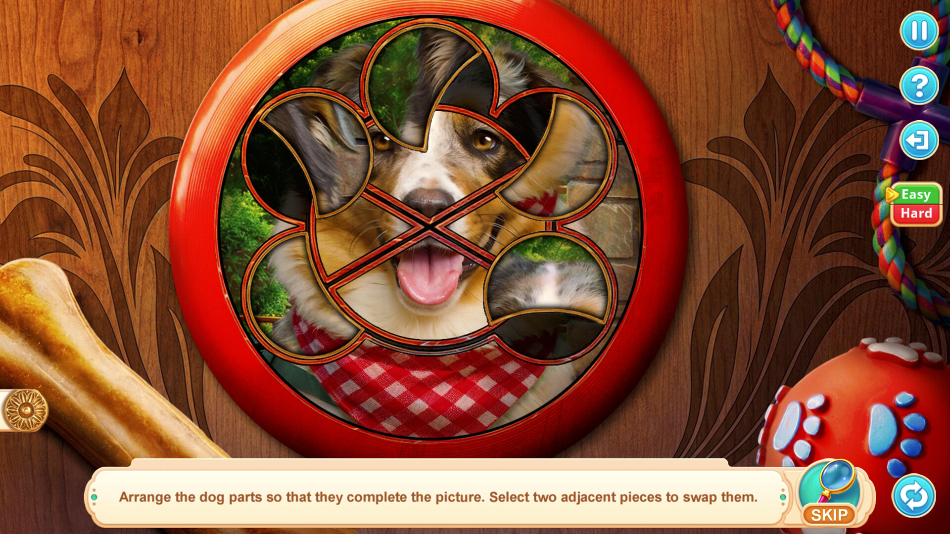 Скриншот: Home for Friends: Beloved Pets Collector's Edition