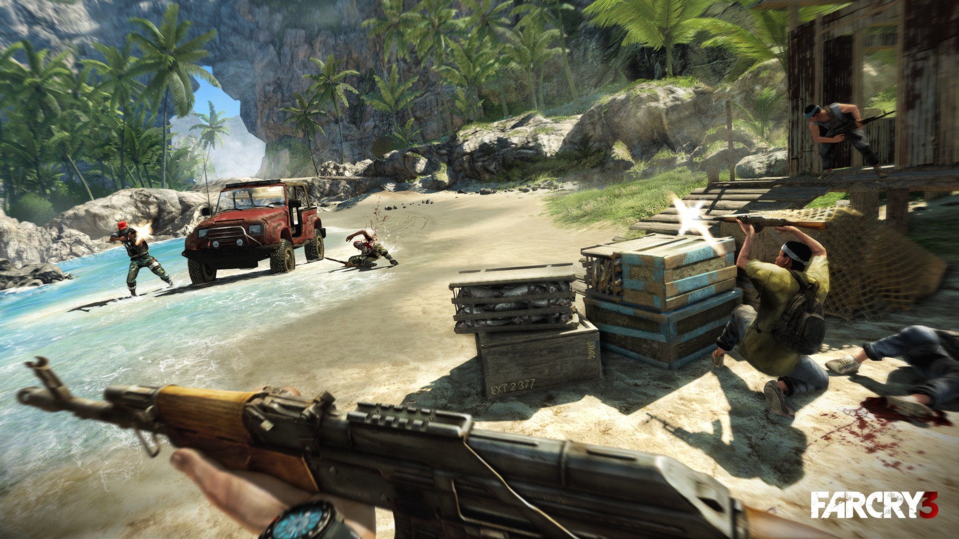 Скриншот: Far Cry 3