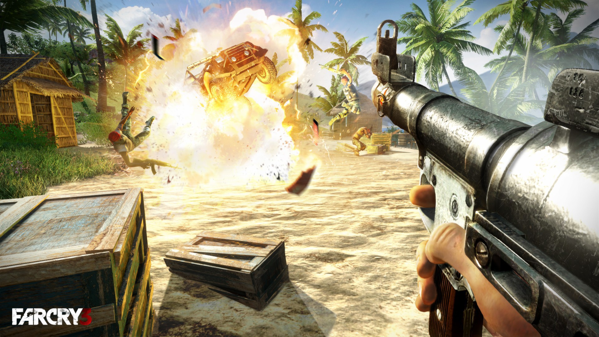 Скриншот: Far Cry 3