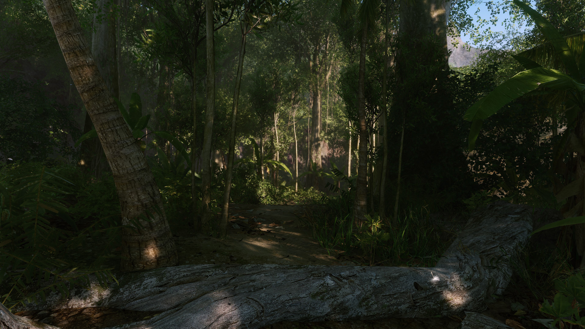 Скриншот: Crysis Remastered