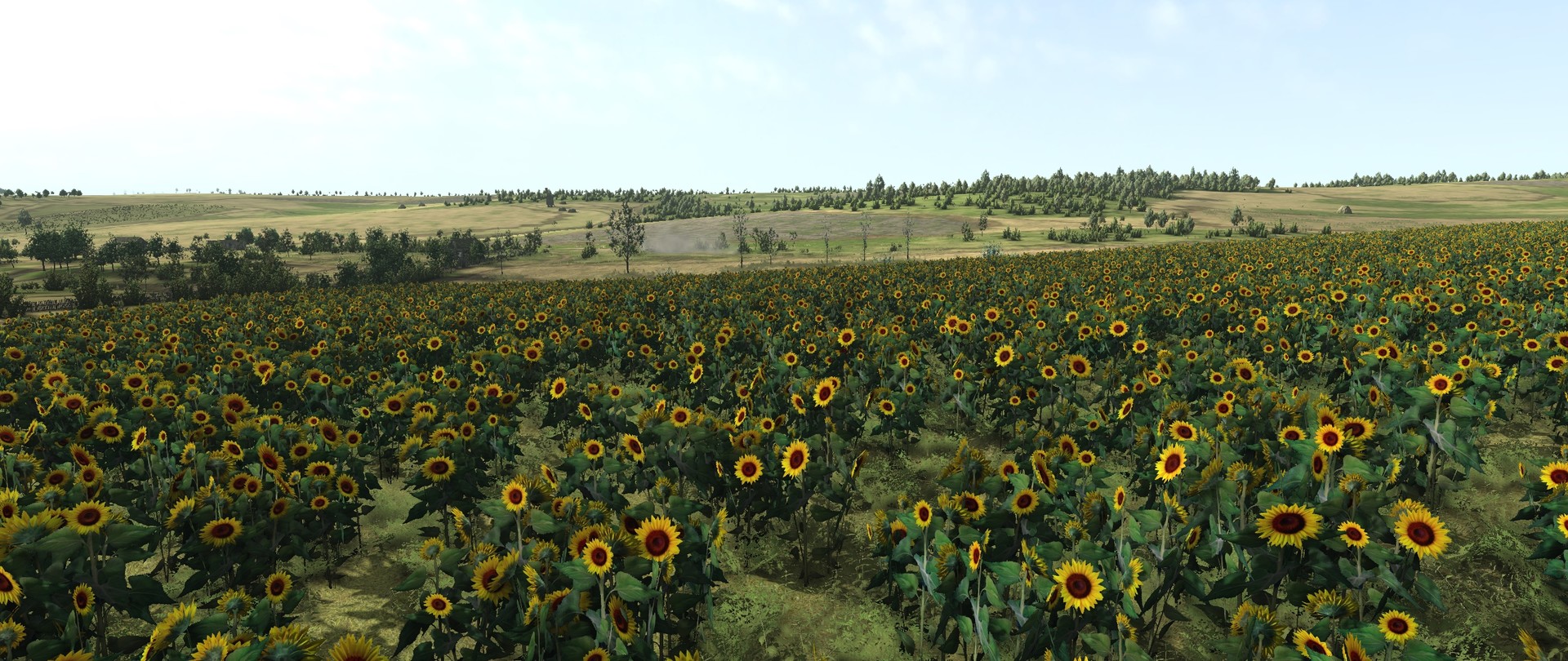Скриншот: Graviteam Tactics: Mius-Front