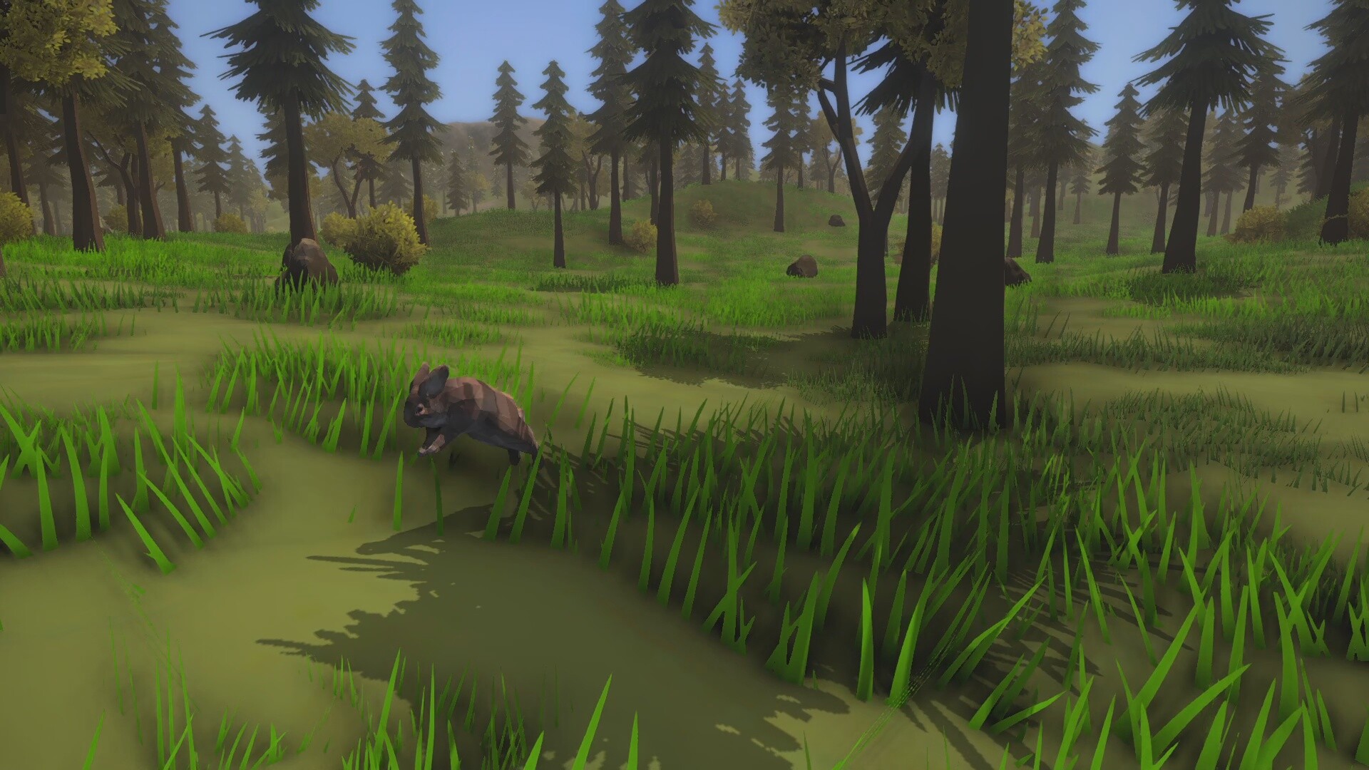 Скриншот: Wild Frontier