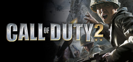 Обложка игры: Call of Duty® 2