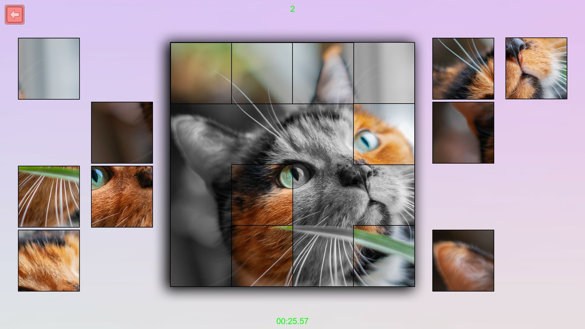 Скриншот: TitTok Kitty