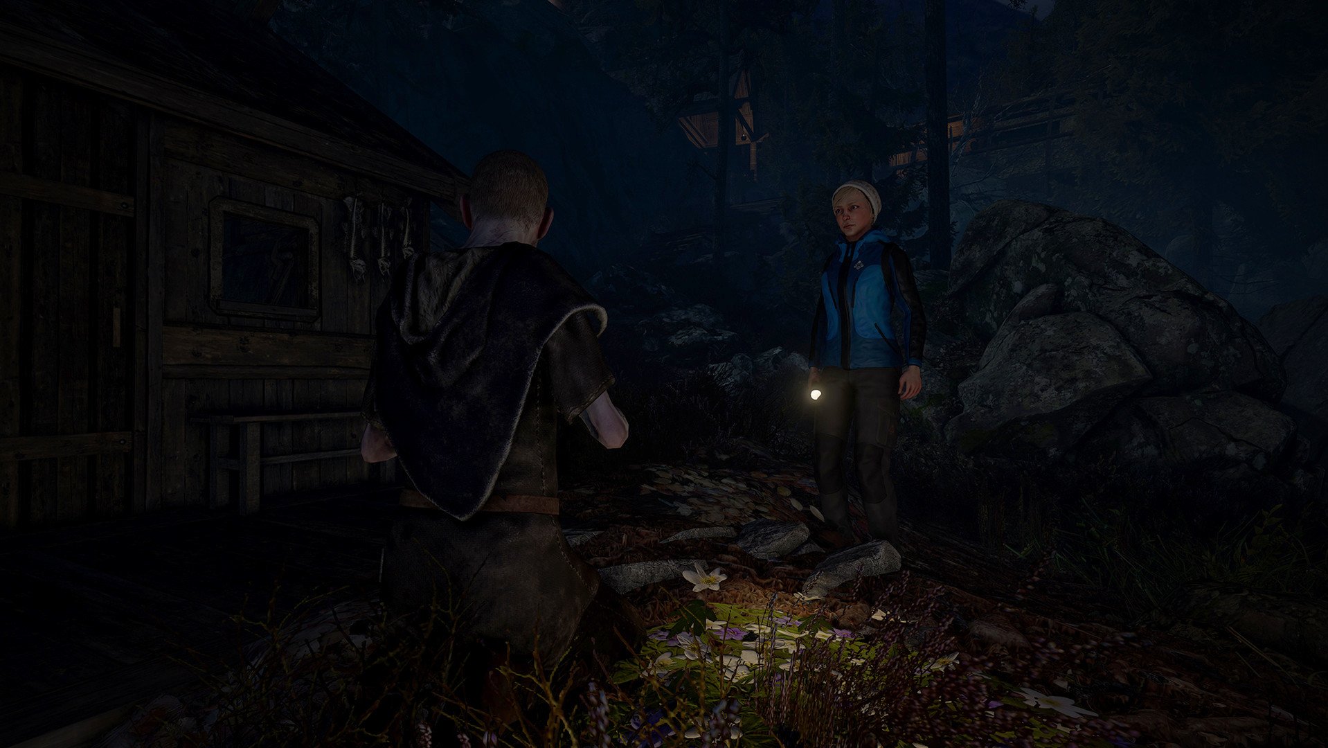 Скриншот: Through the Woods